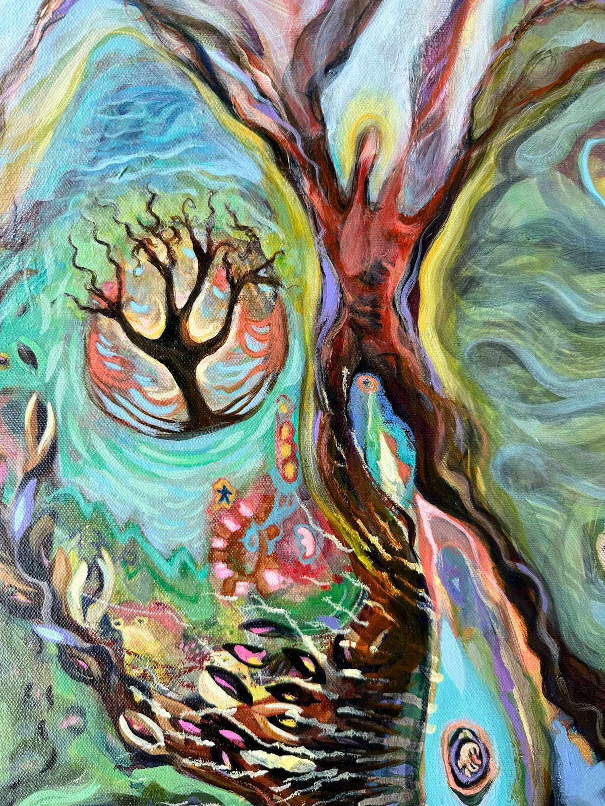 The Wonders of Nature
